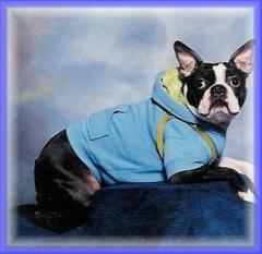 Rascal's "school picture"